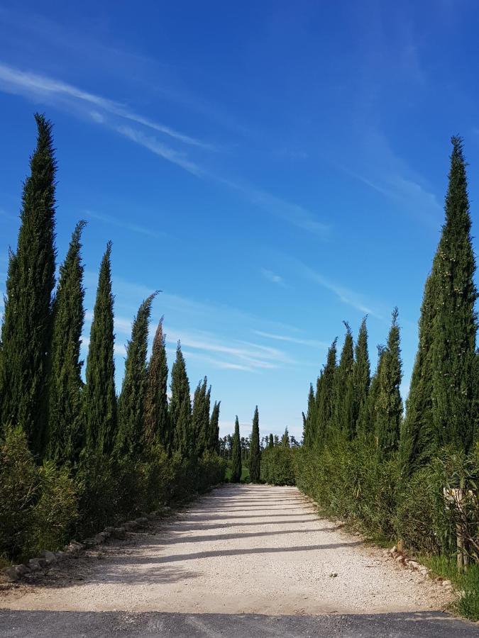 Mézoargues Le Mas De Paulette מראה חיצוני תמונה